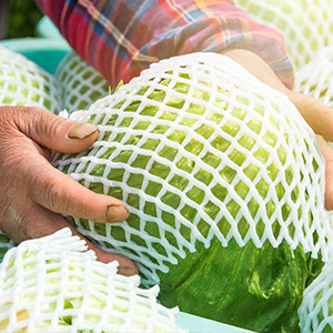 生鮮冷鏈物流，溫濕度監(jiān)控可不能忽視！