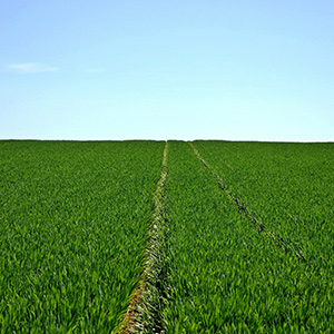 如何借助溫濕度物聯(lián)網(wǎng)技術(shù)讓蔬果實現(xiàn)增產(chǎn)優(yōu)產(chǎn)？