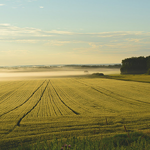 農(nóng)業(yè)大棚溫濕度監(jiān)控系統(tǒng)如何進(jìn)行升級(jí)呢？