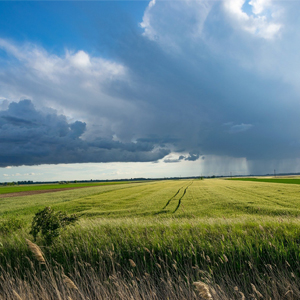 智慧農業(yè)是如何改變農業(yè)的？